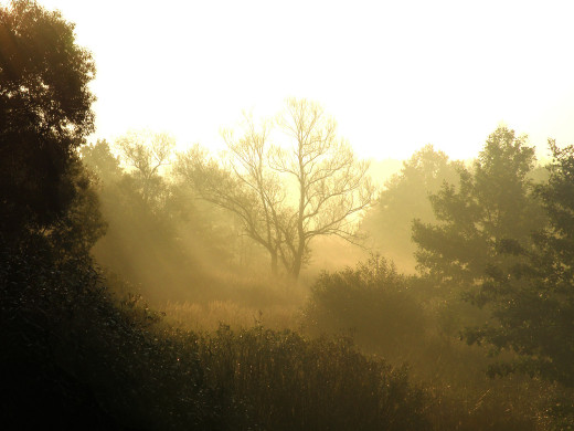 37685 (a): :1600x1200